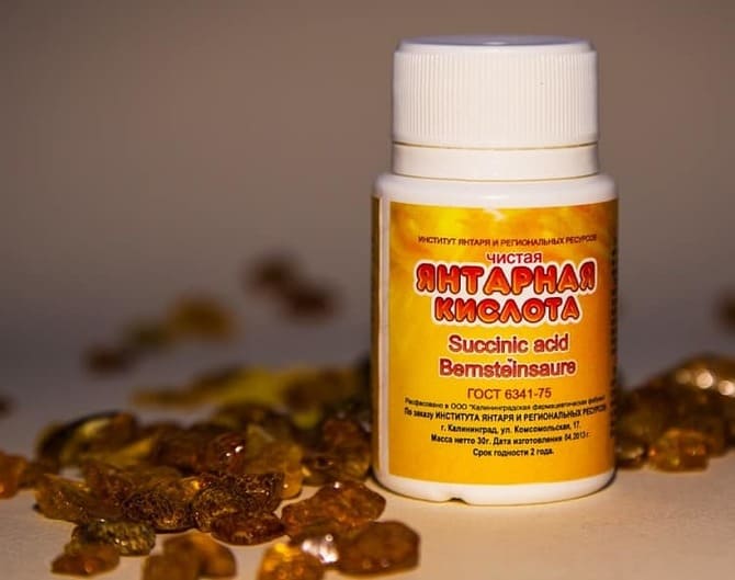 Янтарная кислота для огурцов: копеечная подкормка для мощных плетей